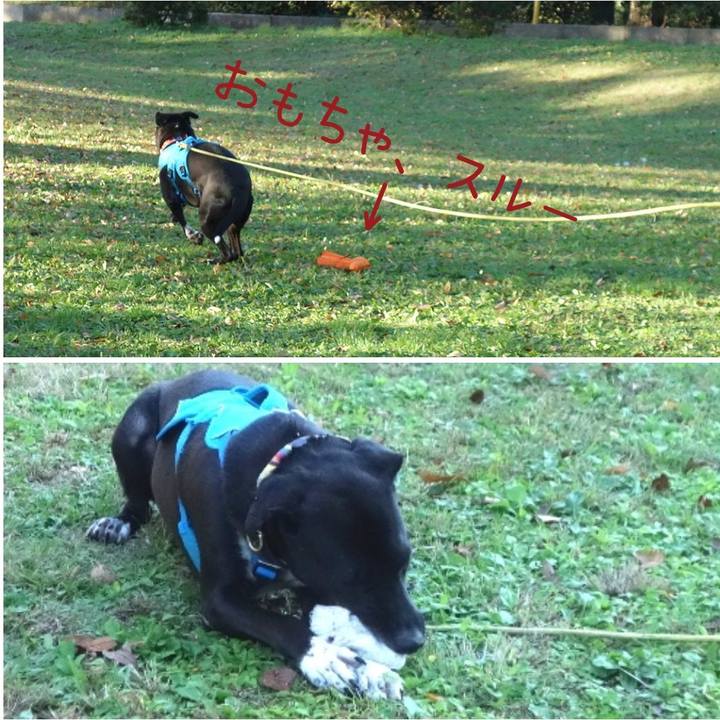 84b7b3e6 6946 4775 a94e 349deb011402 1604967802863