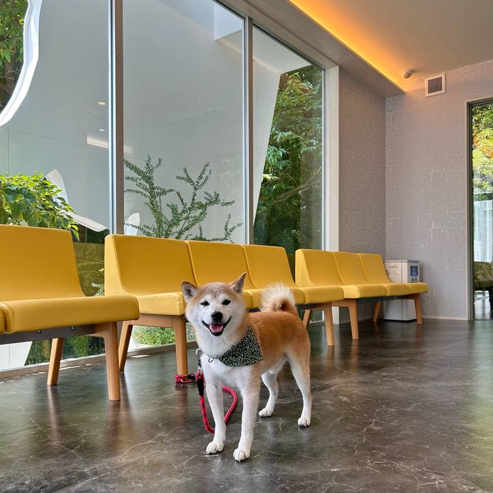 84b7b7de 78af 4015 a545 3ce9fd9b892c 1751885353914