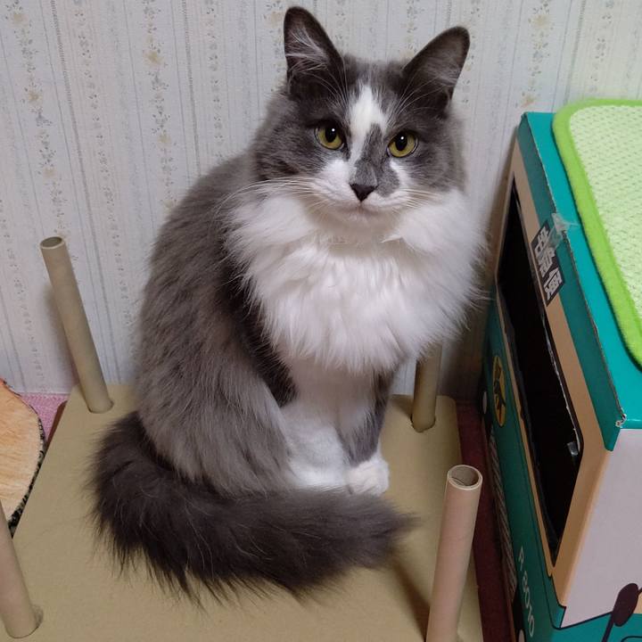 84b7c893 6332 4878 b481 9021b433a87b 1582586970712