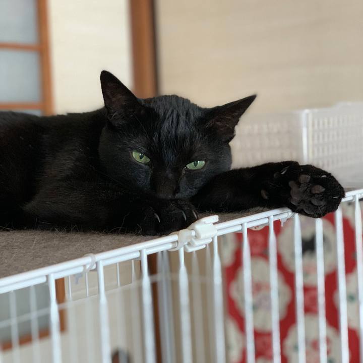 84b7dce2 f83b 42eb 9d15 3160cf1ad666 1599789148076