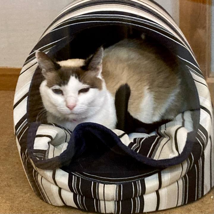 84b7ff27 0b1d 4af0 ba1a 346ffb1709b2 1676377350472