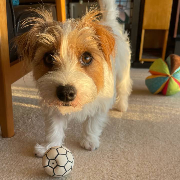 84b801d3 0254 4e6e b950 32fe7d72c134 1775422812936