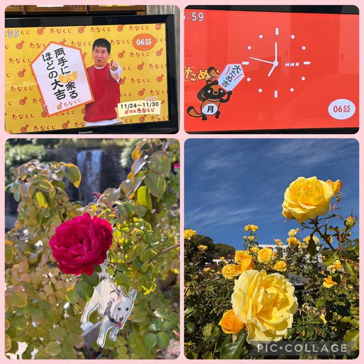 84b832b2 8b61 413a b017 39e6ddbc6bfe 1763935796137