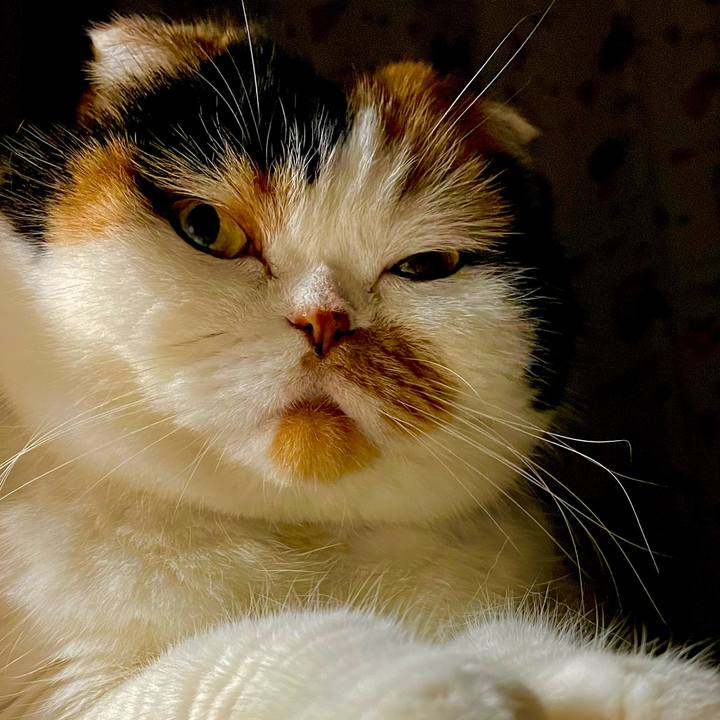 84b84d0f 2020 4822 8855 6b0d5db03678 1648881468512