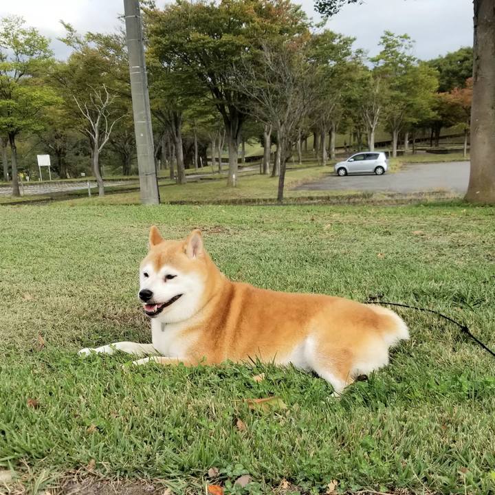 84b8638f 9394 44f0 8eee 7b52e74dd1a1 1633933428873