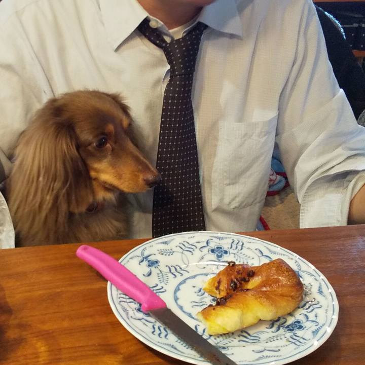 84b8a83a 2cde 48fc 889e d77b4c06490a 1575331723885