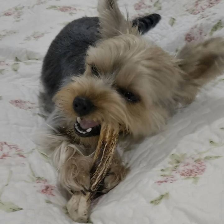 84b8c37c c436 405f ab55 ab2f7d89ae83 1559264600047