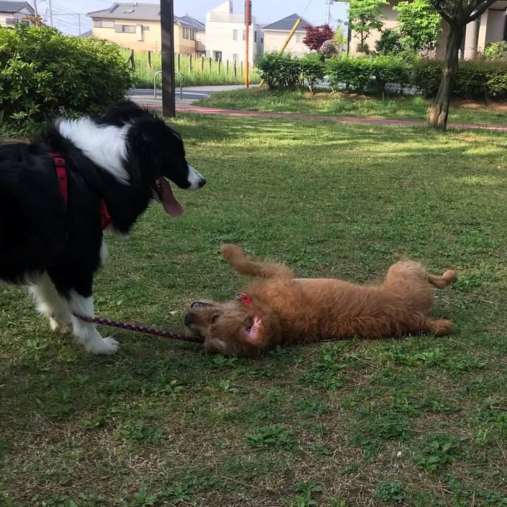 84b93b2f e258 4153 be0a 8b6c2ba67804 1589369982866