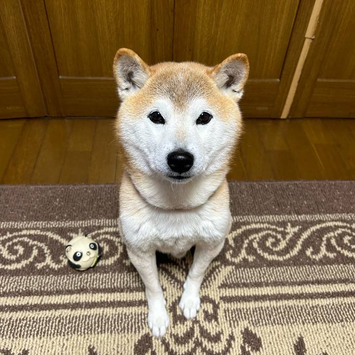 84b9502b b531 4969 b5d5 6f8a5c530f1c 1707814018800