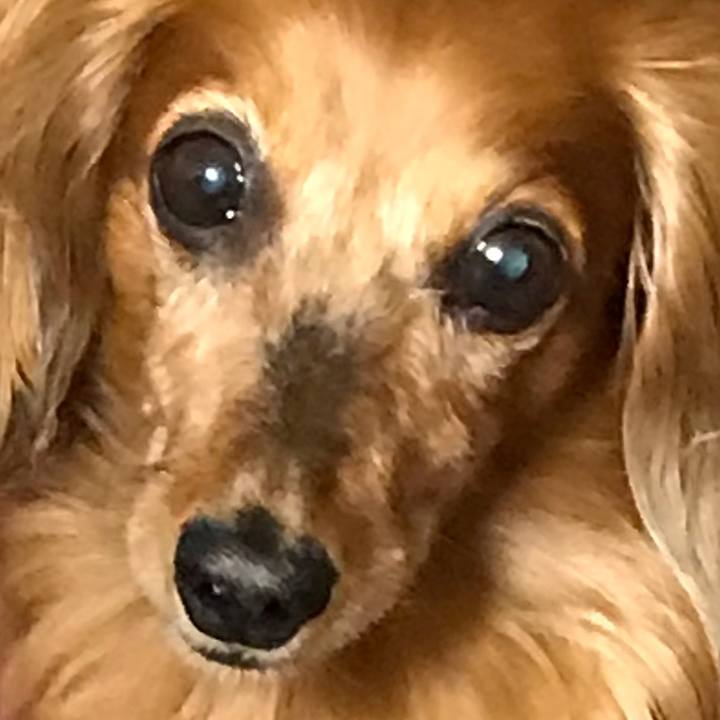 84b9a84c 29b8 4f72 876e c915bd3ca706 1588331816759