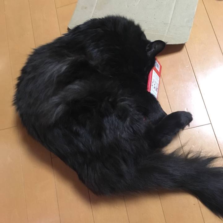 84b9aa41 43d3 421b 83c9 635958d8e161 1527262629921