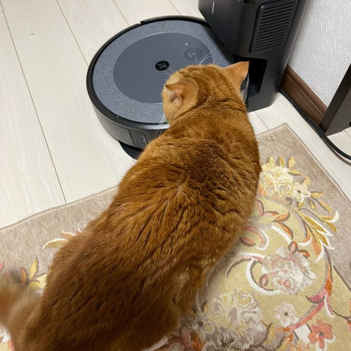 84b9e8a4 ebd4 486a 85f6 dcb1367df41d 1671452346357