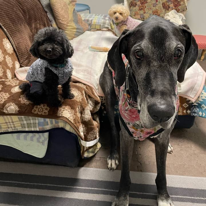 84b9e968 382a 4437 a0cb a61b41109206 1644791422329