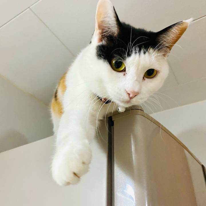 84ba1b75 54eb 4ade 865f ee1412dcef80 1670069880251