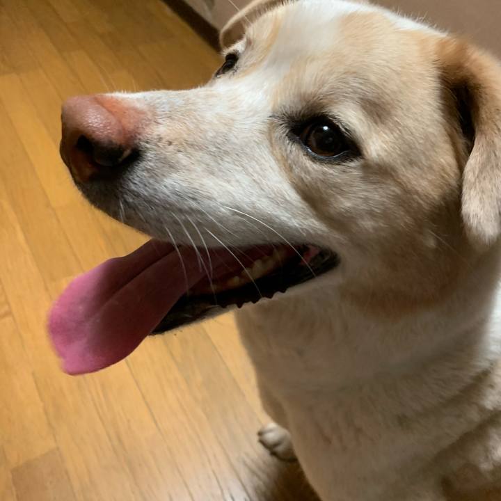 84ba2e8e f117 43d3 8228 7a0072861377 1588419626743