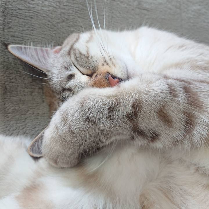 84ba6372 cd3d 440f ac57 8d7caac98f7f 1574563059311