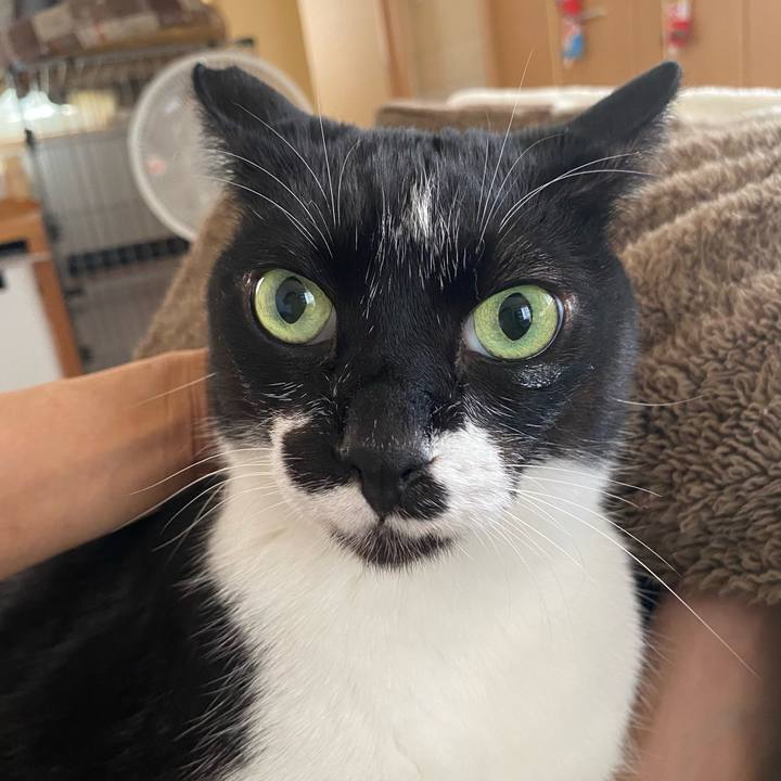 84ba87b0 6808 408c 8da5 52ac481e8765 1716809801201