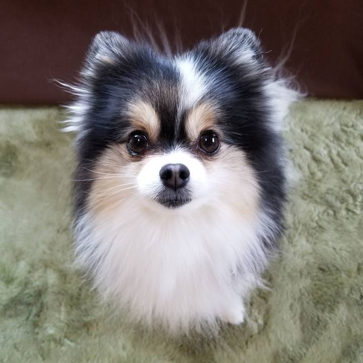 84ba8f9d 7ee4 4df0 adaf fe187db8f7fc 1585866562018