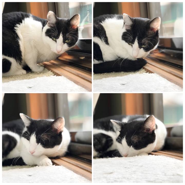 84ba9fd0 f0de 42d0 99ce 9f3e4303f5d9 1523088065021