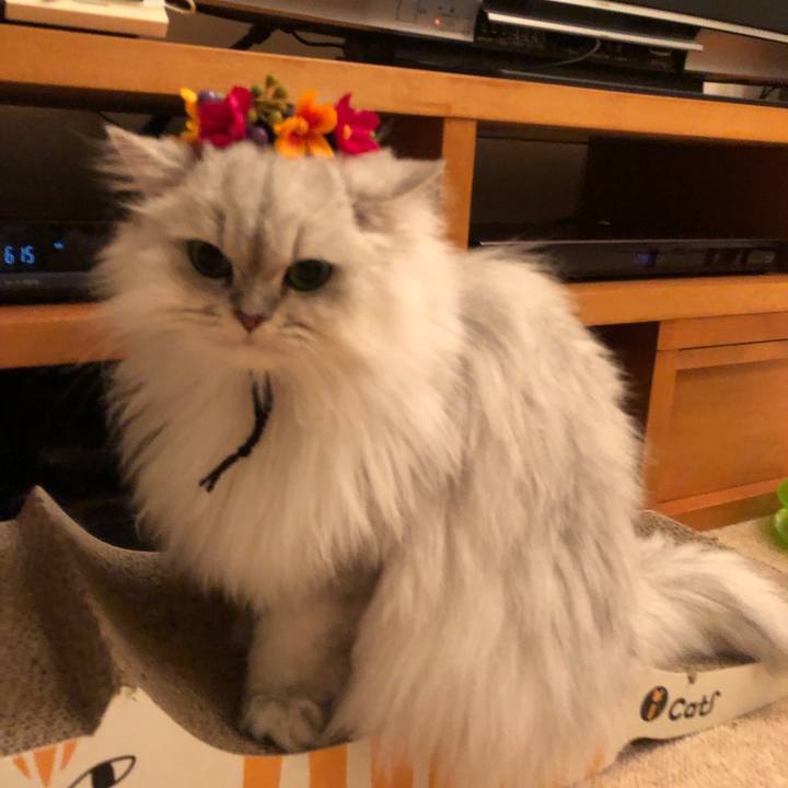 84bb082d 1a5f 4358 b5f9 482f6993fe65 1544619481781