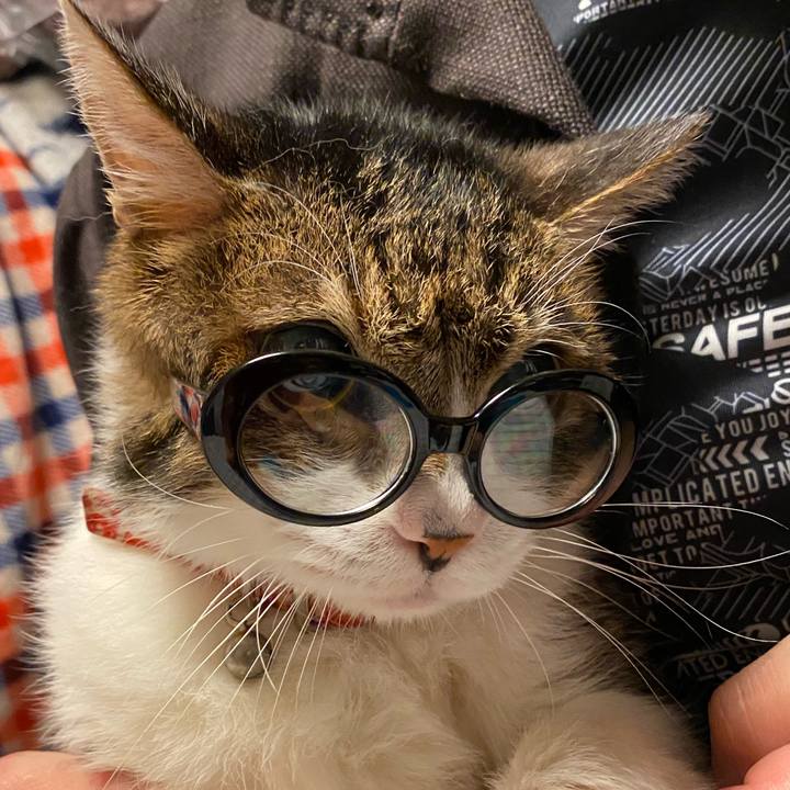 84bb2462 035d 4daf be04 1d07f7f7e55b 1599053163225