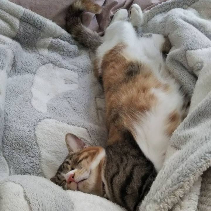 84bb277e 0030 47e1 8353 ee4d1dea90ad 1646464274305