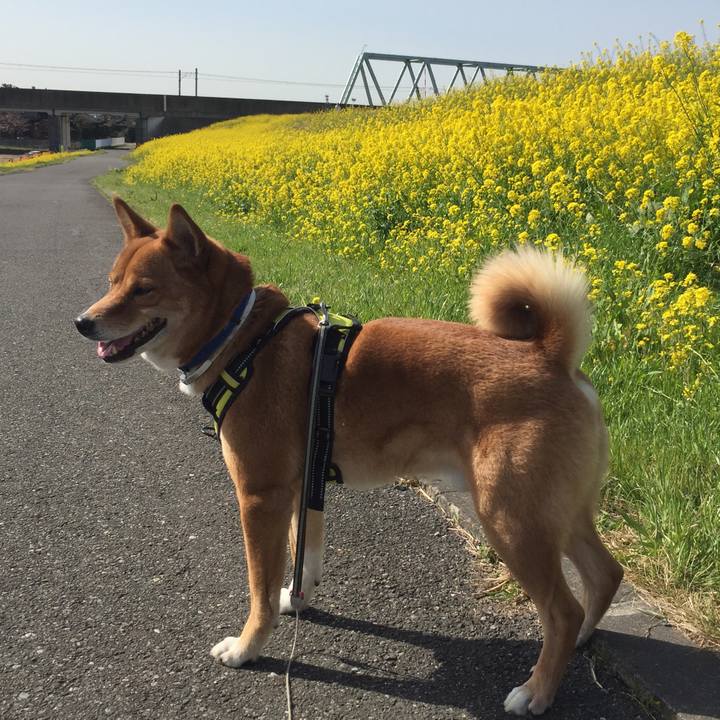 84bb2f69 8d10 47b0 b6a5 cca128393817 1584759965893