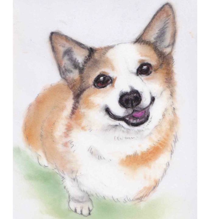 84bb3231 8b16 4141 8e60 5c4d1cd7ba3f 1639990257394