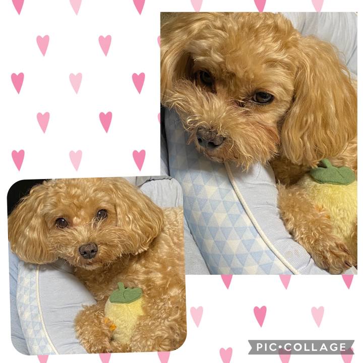 84bb442d 45e2 4845 8d49 ff4a3e38dc93 1658595080998