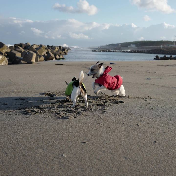 84bb9607 4663 482a b3db b018c523f949 1605936665881