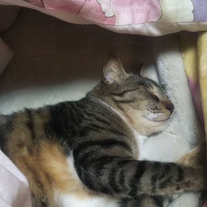 84bba477 24da 4c9b 9837 4b2893d92f8c 1619442492643