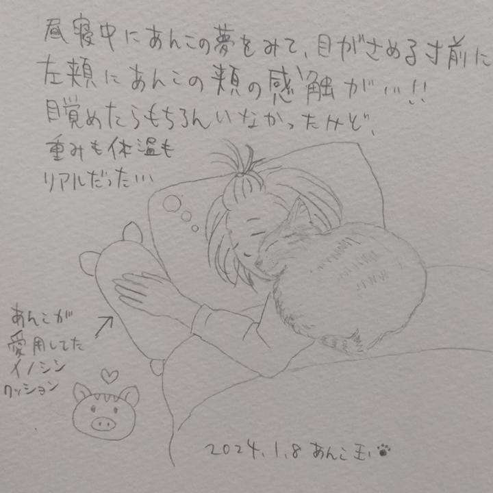 84bbb376 610b 4a87 ab12 2713bff846ae 1704706567157