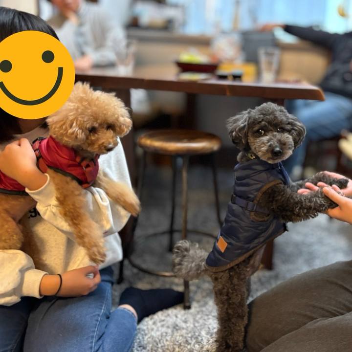 84bbbf46 5999 4ef4 a6a7 d51e25a74dde 1736679655799