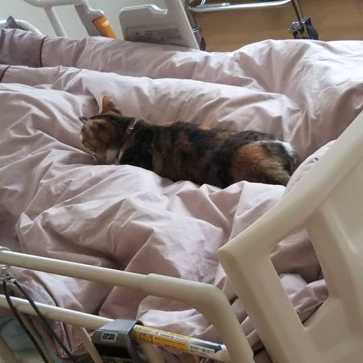 84bc1818 6841 4a9f 81b4 b52f24e72551 1646128169159