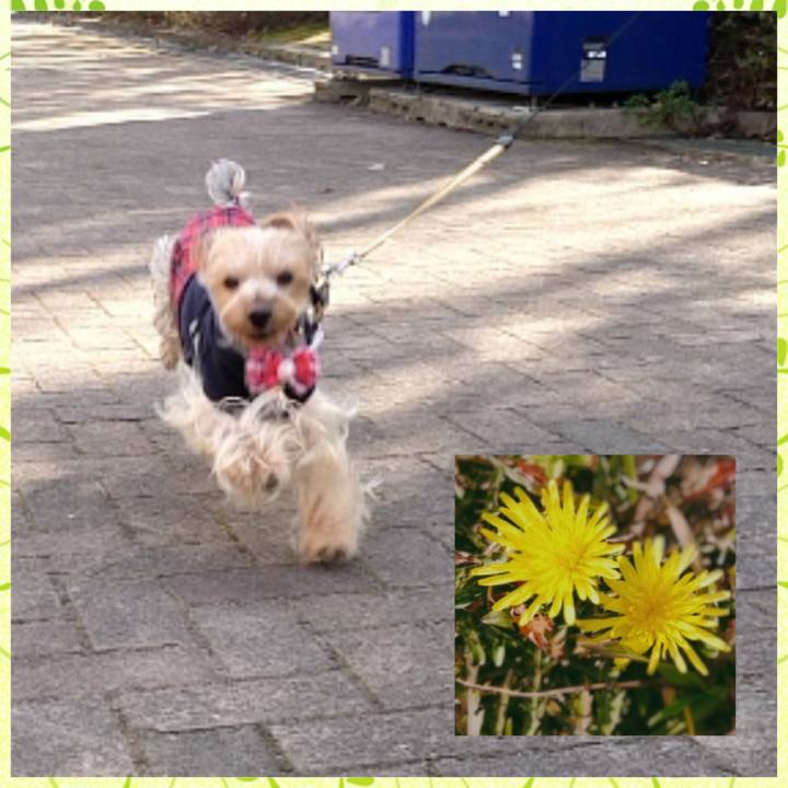 84bc635b 4529 4015 a608 584824e4cb5a 1550909108780