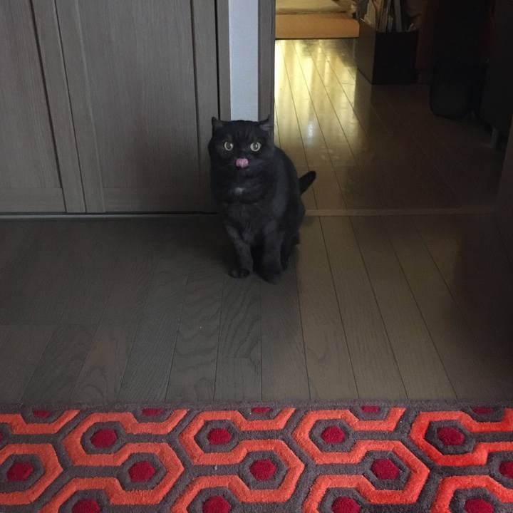 84bcc855 c7cd 4824 81b5 99f2c0252927 1541979992541