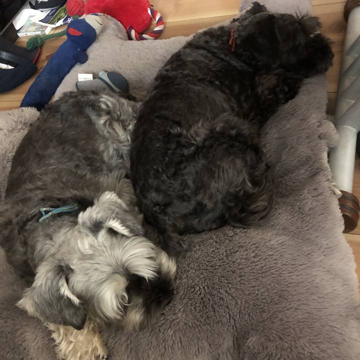 84bcd6d1 d4f3 4fb8 9ba9 84317f98c99a 1561602528916