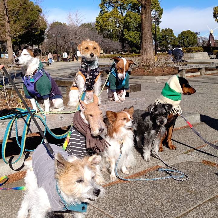 84bce65b a6ba 49f7 b8e4 c3be928673e7 1640923314137