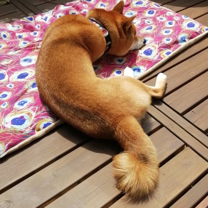 84bcedb6 9634 40c8 80ca f0f74518cb83 1650510212400