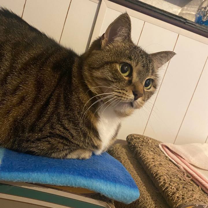 84bcf196 5c56 4a4e a7f6 ab793320482d 1639235505334