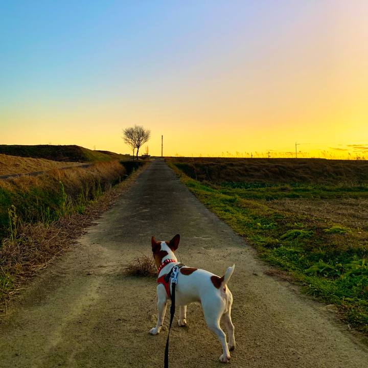 84bd277d 1fe0 425f 841c 97aa4eedea14 1545993791306