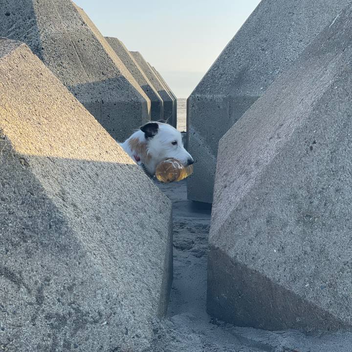 84bd3235 dc1c 4cd1 8268 8703c94f0447 1617230312754