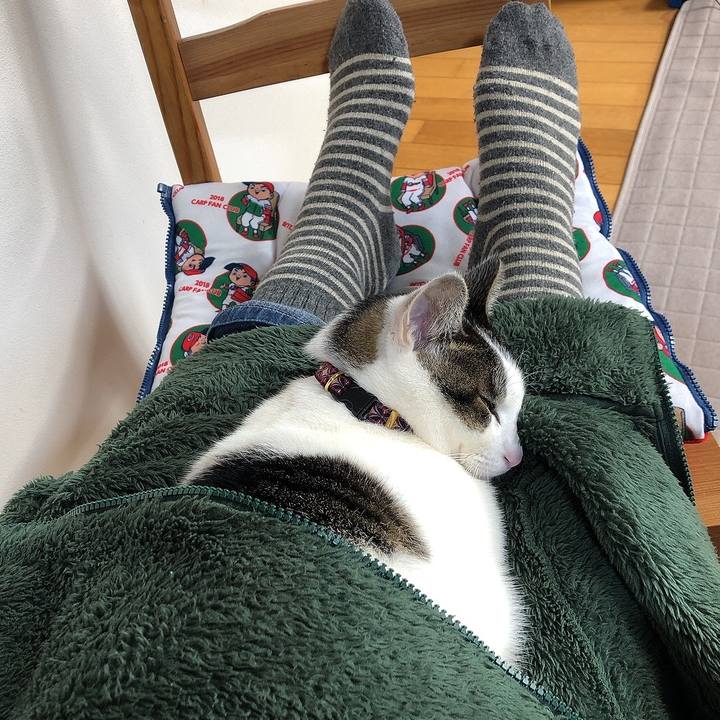 84bd56f6 6fce 4386 859e e4d265c664b1 1642742941780