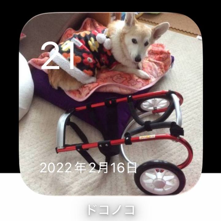 84bd5c81 7ebe 46c0 a8a6 2cbba40d2936 1771635007440