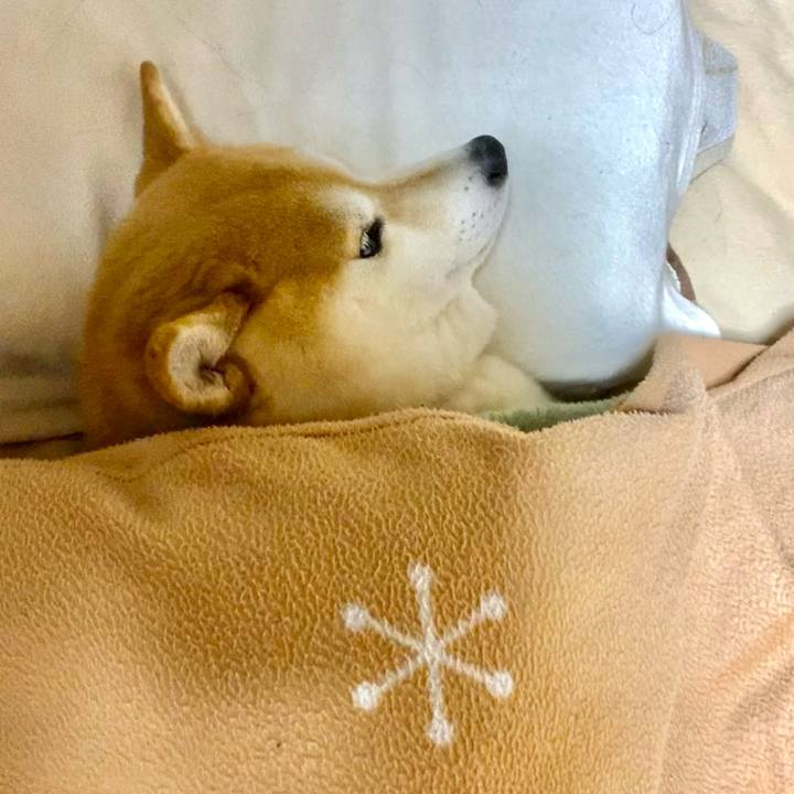 84bd5fa5 c48c 4535 993e 9260bbe0bde2 1643087025642