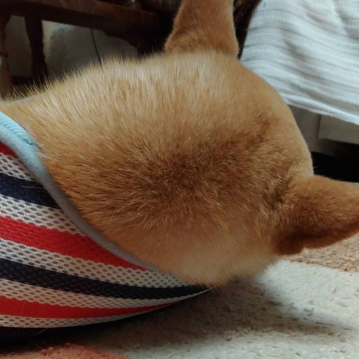 84bd9deb fd90 4802 8697 4acc84bcddff 1523795091798