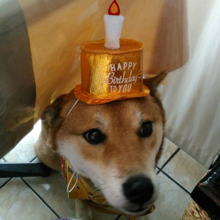 84bda170 46a4 45c4 9dde 441df0865cd3 1512792481592