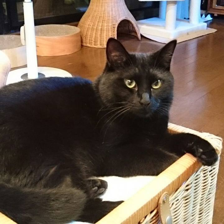 84bdcaa7 d337 4f0f b7c5 910a56b40925 1531266763411