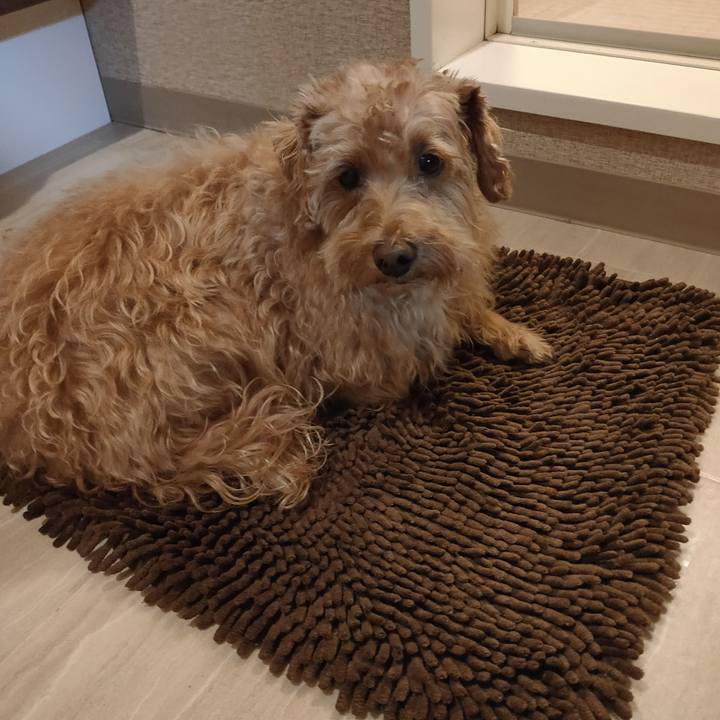 84bdd891 e8dd 4bd9 b65a 788dfd5b9ec3 1605343227598