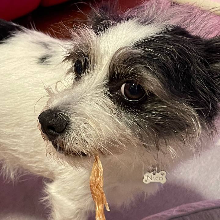 84be092d 0a2c 4b25 869c f89dcd20ba6f 1694781381544